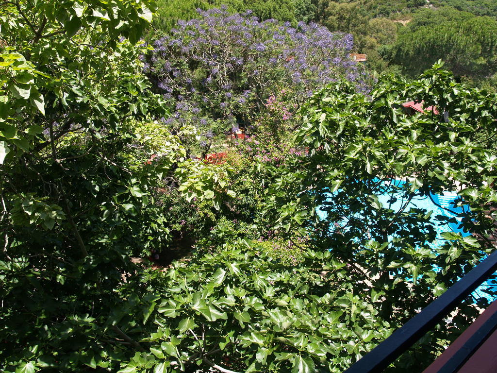 Meson De Sancho Hotel Tarifa Bagian luar foto